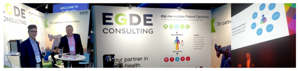 ehin 2017 egde consulting