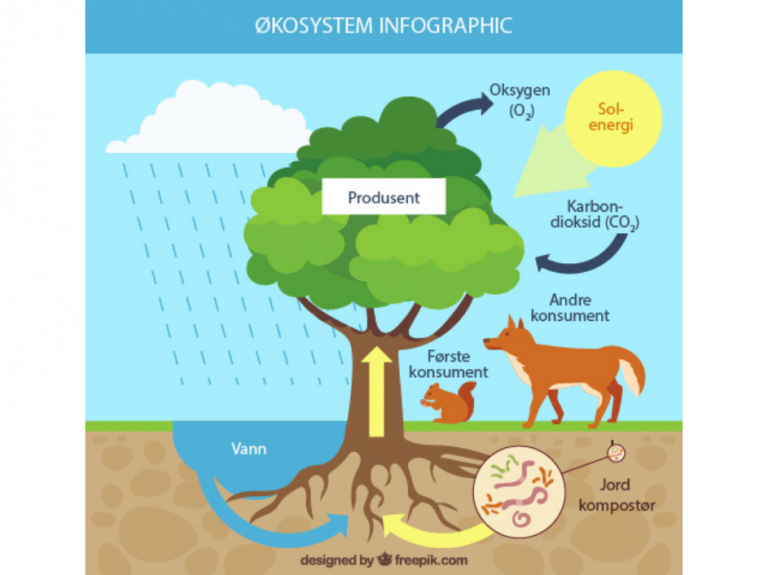 økosystem infographic (1) - Egde