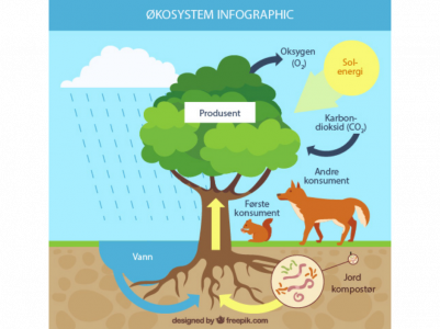 økosystem infographic